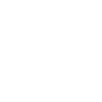 iconos-topins